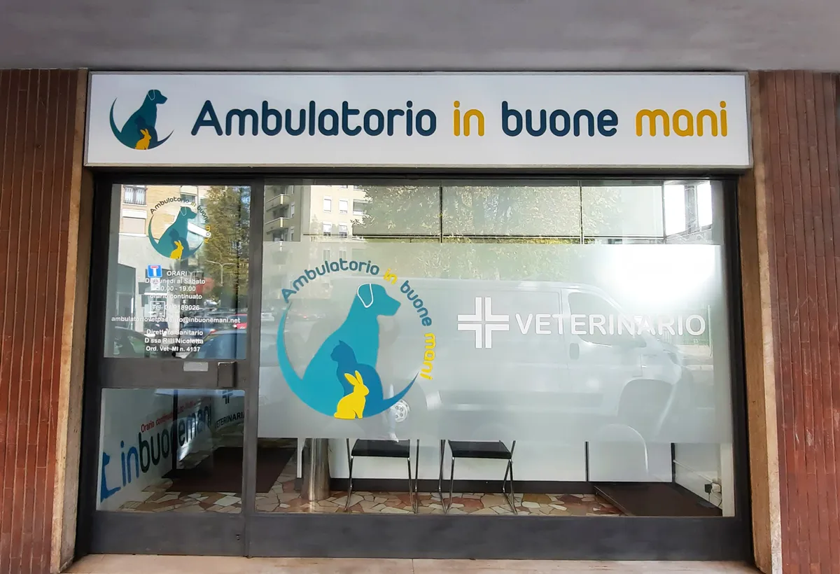 Realizzazione 15