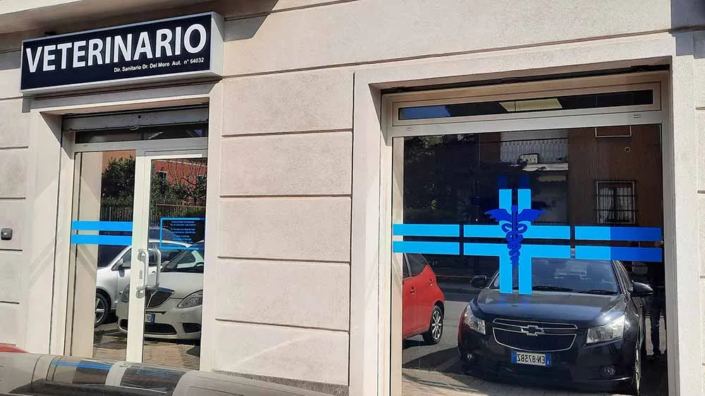 Realizzazione 16